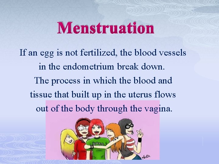 Menstruation If an egg is not fertilized, the blood vessels in the endometrium break