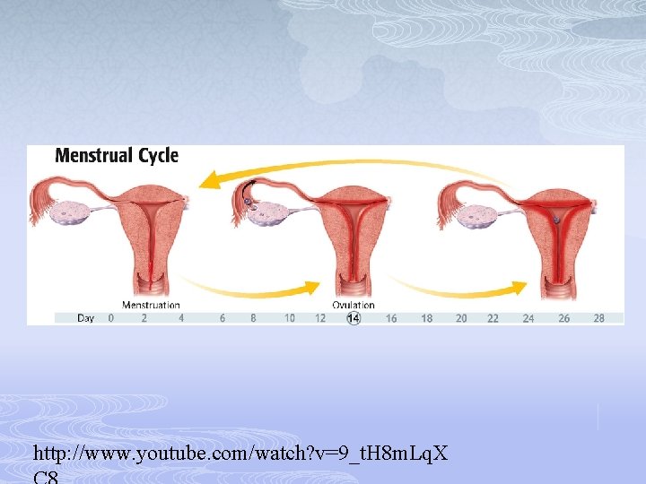 http: //www. youtube. com/watch? v=9_t. H 8 m. Lq. X 