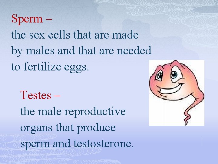 Sperm – the sex cells that are made by males and that are needed