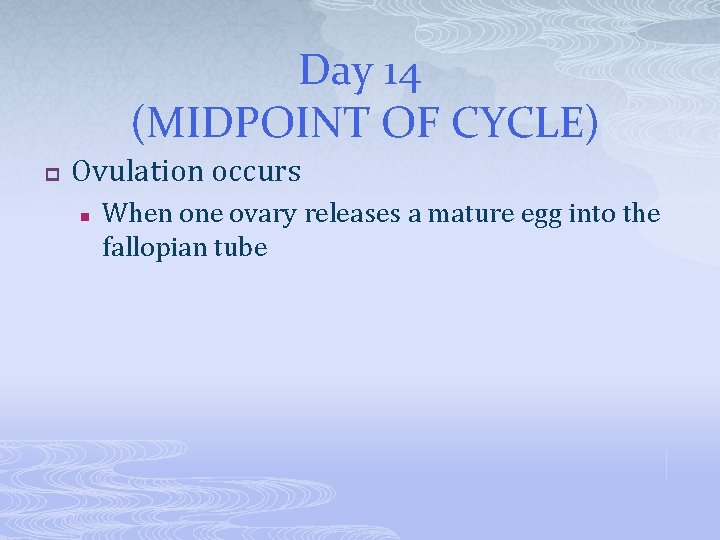 Day 14 (MIDPOINT OF CYCLE) p Ovulation occurs n When one ovary releases a