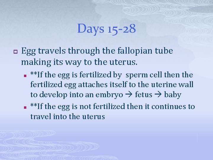 Days 15 -28 p Egg travels through the fallopian tube making its way to