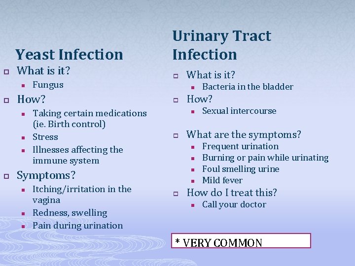 Yeast Infection p What is it? n p How? n n n p Fungus