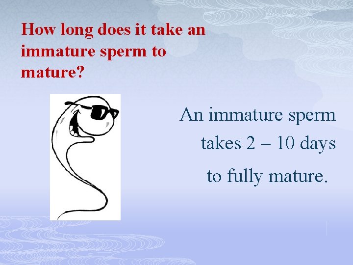 How long does it take an immature sperm to mature? An immature sperm takes