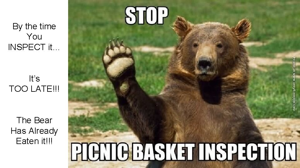 By the time You INSPECT it… It’s TOO LATE!!! The Bear Has Already Eaten