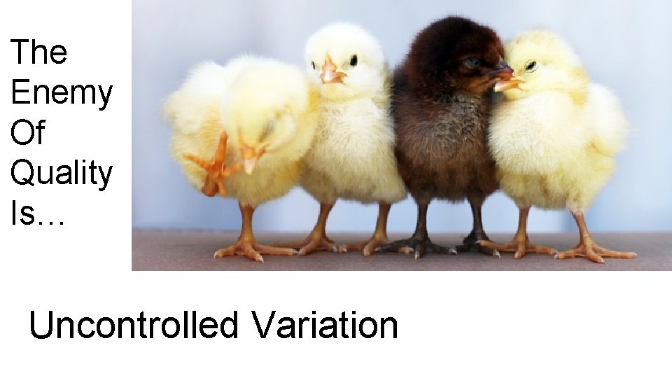 The Enemy Of Quality Is… Uncontrolled Variation 