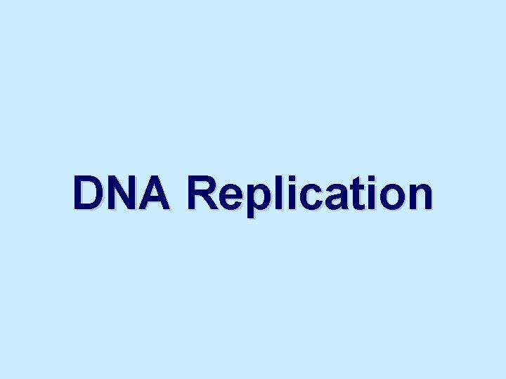DNA Replication 