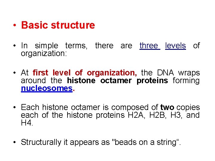  • Basic structure • In simple terms, there are three levels of organization: