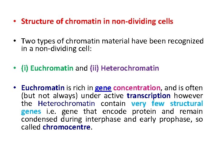  • Structure of chromatin in non-dividing cells • Two types of chromatin material