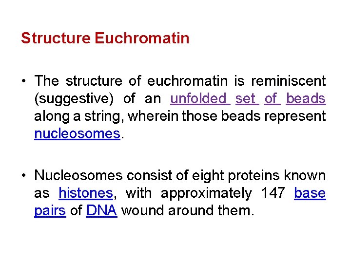 Structure Euchromatin • The structure of euchromatin is reminiscent (suggestive) of an unfolded set