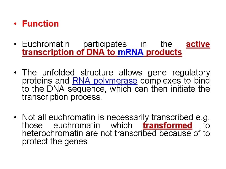  • Function • Euchromatin participates in the active transcription of DNA to m.