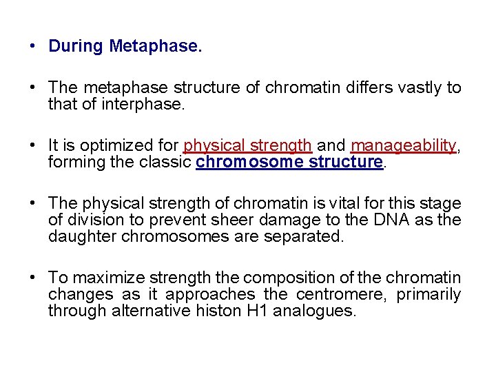  • During Metaphase. • The metaphase structure of chromatin differs vastly to that
