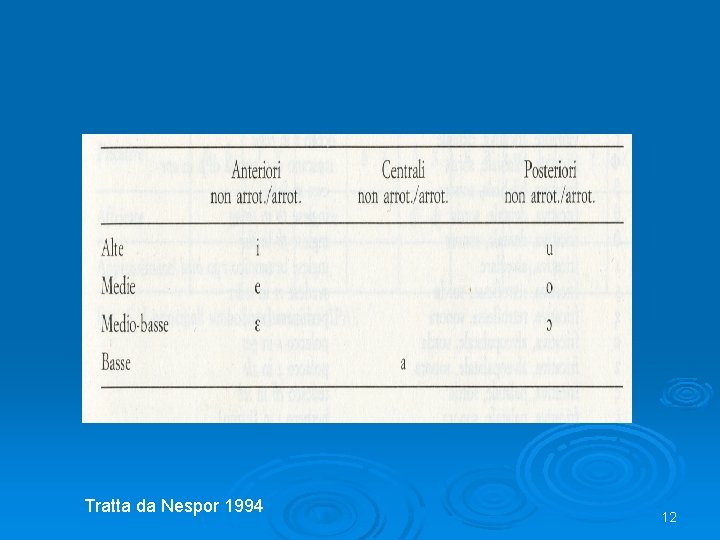 Tratta da Nespor 1994 12 