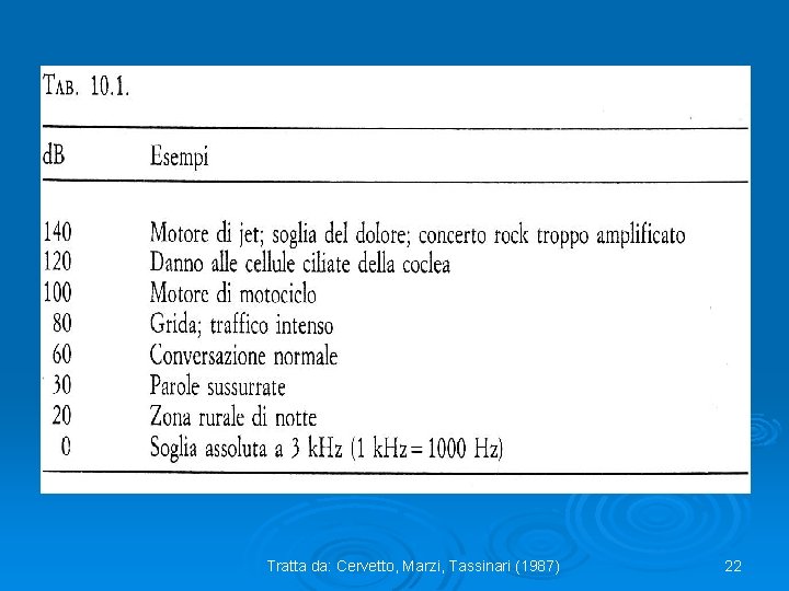 Tratta da: Cervetto, Marzi, Tassinari (1987) 22 