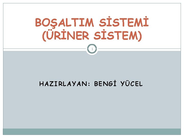 BOŞALTIM SİSTEMİ (ÜRİNER SİSTEM) 1 HAZIRLAYAN: BENGİ YÜCEL 