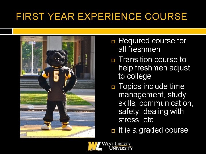 FIRST YEAR EXPERIENCE COURSE Required course for all freshmen Transition course to help freshmen