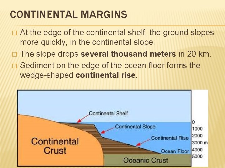 CONTINENTAL MARGINS � � � At the edge of the continental shelf, the ground