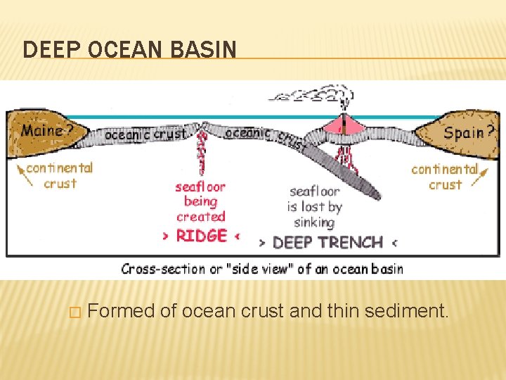 DEEP OCEAN BASIN � Formed of ocean crust and thin sediment. 