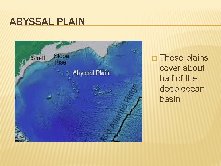 ABYSSAL PLAIN � These plains cover about half of the deep ocean basin. 