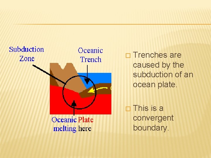 � Trenches are caused by the subduction of an ocean plate. � This is