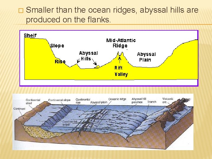 � Smaller than the ocean ridges, abyssal hills are produced on the flanks. 