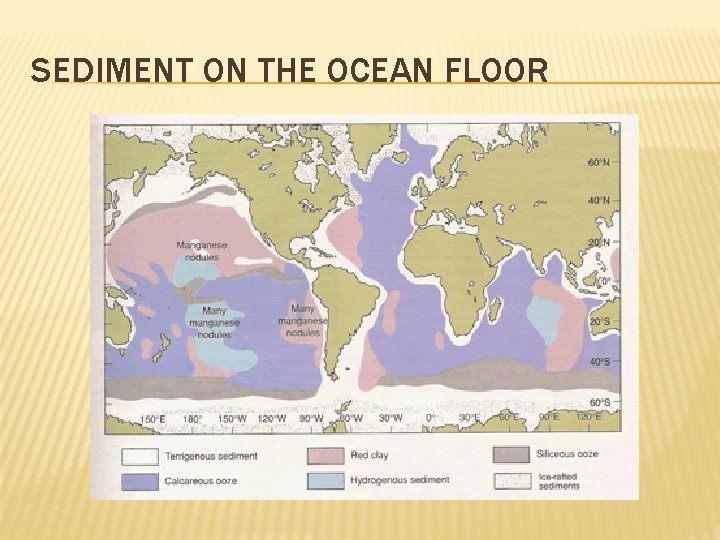 SEDIMENT ON THE OCEAN FLOOR 