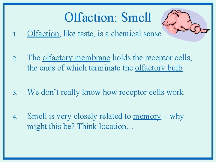Olfaction: Smell 1. Olfaction, like taste, is a chemical sense 2. The olfactory membrane