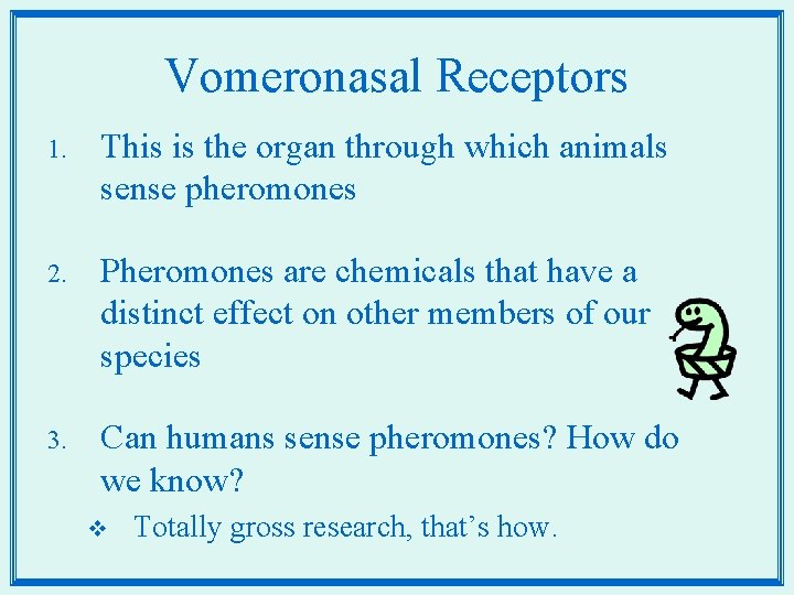 Vomeronasal Receptors 1. This is the organ through which animals sense pheromones 2. Pheromones