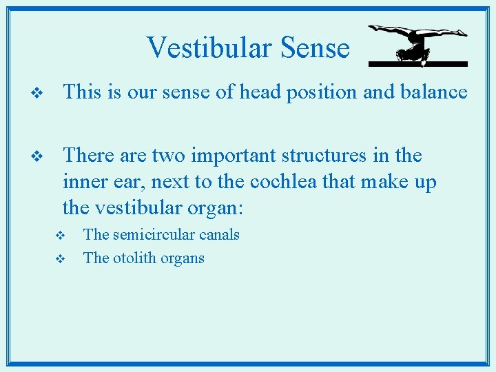 Vestibular Sense v This is our sense of head position and balance v There