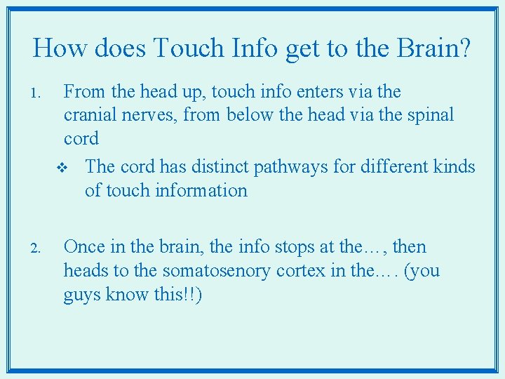 How does Touch Info get to the Brain? 1. 2. From the head up,