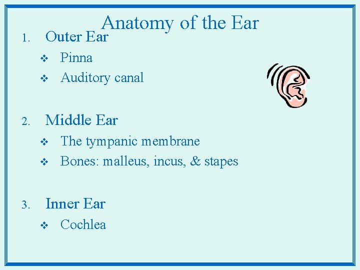 1. Anatomy of the Ear Outer Ear v v 2. Middle Ear v v
