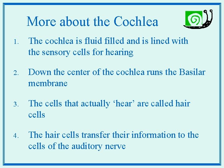 More about the Cochlea 1. The cochlea is fluid filled and is lined with