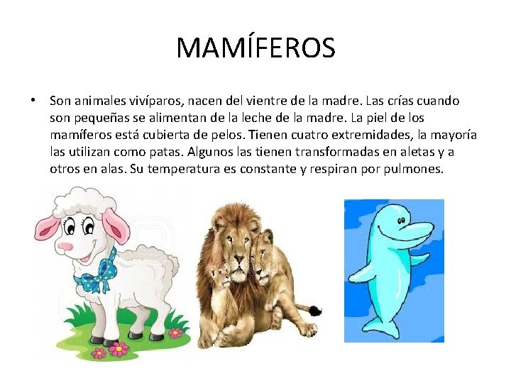 MAMÍFEROS • Son animales vivíparos, nacen del vientre de la madre. Las crías cuando