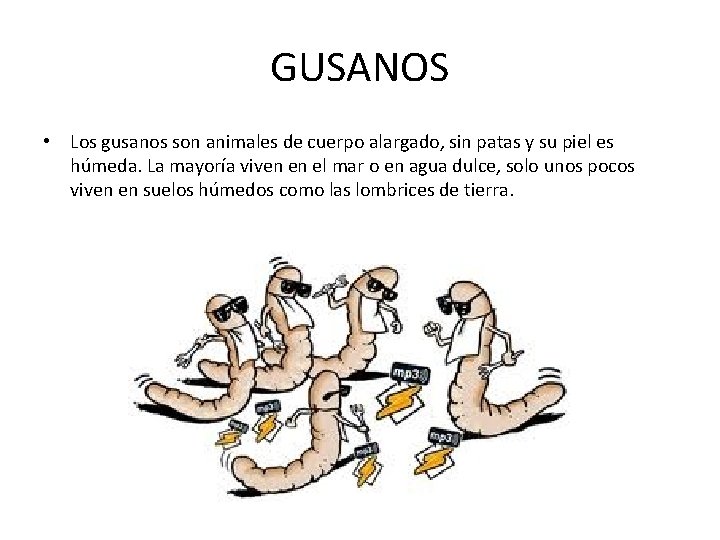 GUSANOS • Los gusanos son animales de cuerpo alargado, sin patas y su piel