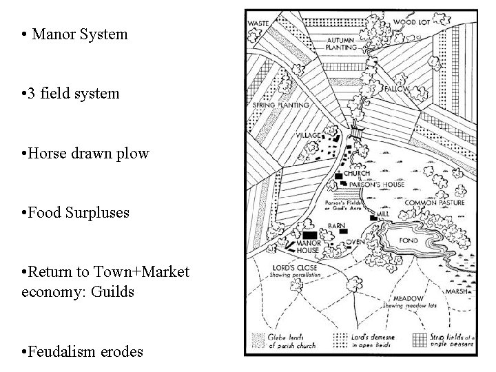  • Manor System • 3 field system • Horse drawn plow • Food