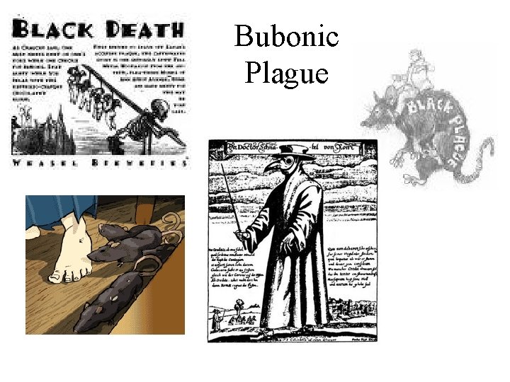 Bubonic Plague 