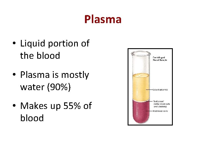 Plasma • Liquid portion of the blood • Plasma is mostly water (90%) •