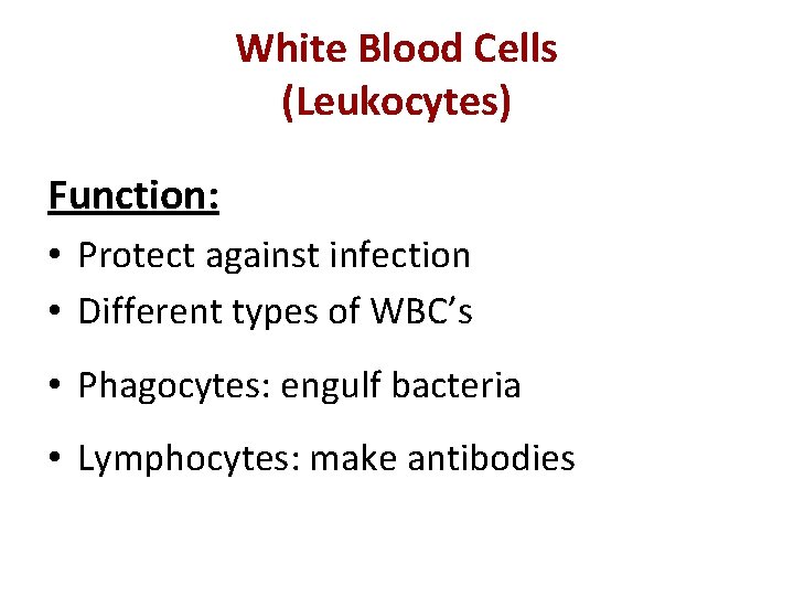 White Blood Cells (Leukocytes) Function: • Protect against infection • Different types of WBC’s