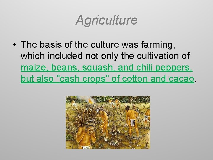 Agriculture • The basis of the culture was farming, which included not only the
