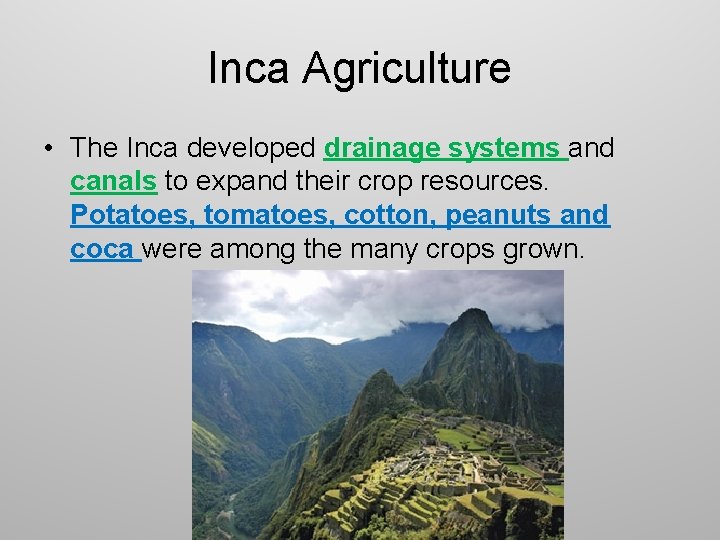 Inca Agriculture • The Inca developed drainage systems and canals to expand their crop