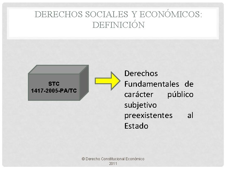 DERECHOS SOCIALES Y ECONÓMICOS: DEFINICIÓN STC 1417 -2005 -PA/TC Derechos Fundamentales de carácter público