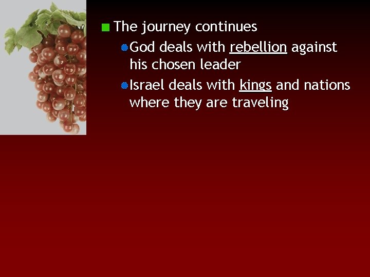 The journey continues God deals with rebellion against his chosen leader Israel deals with