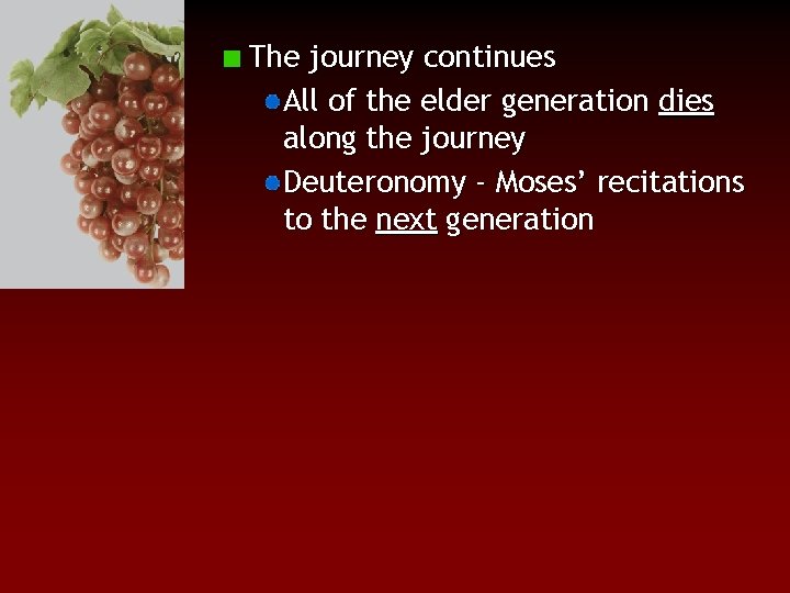 The journey continues All of the elder generation dies along the journey Deuteronomy -