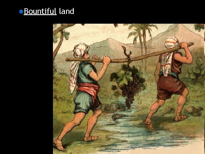 Bountiful land 