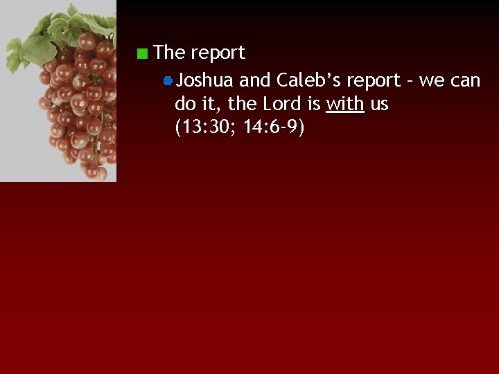 The report Joshua and Caleb’s report – we can do it, the Lord is