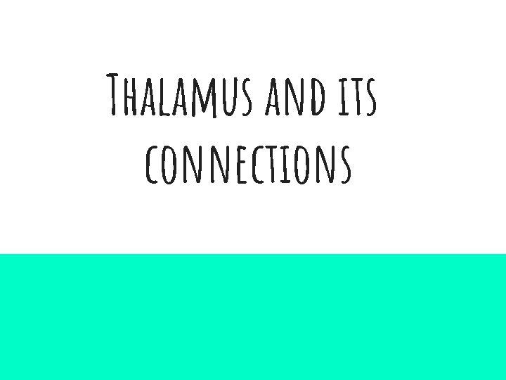 Thalamus and its connections 