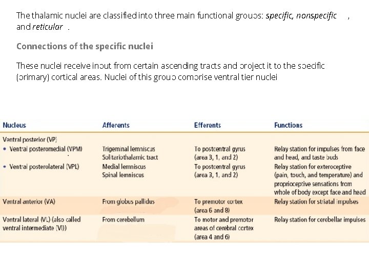 The thalamic nuclei are classified into three main functional groups: specific, nonspecific and reticular.