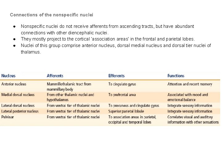 Connections of the nonspecific nuclei ● ● ● Nonspecific nuclei do not receive afferents