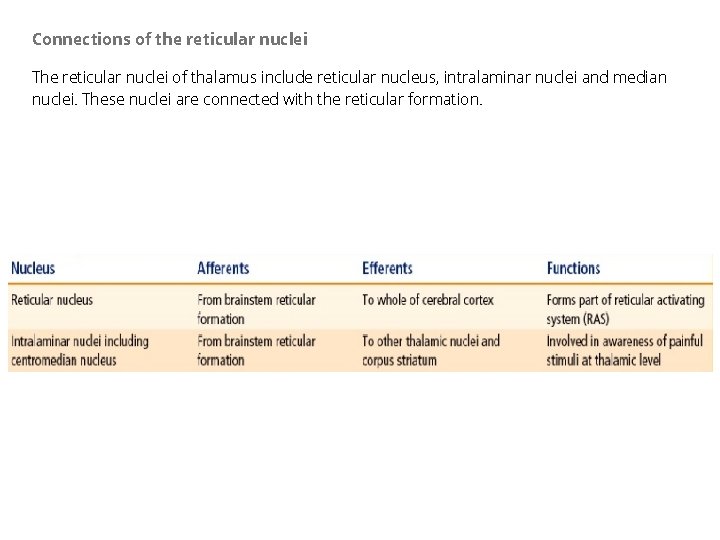 Connections of the reticular nuclei The reticular nuclei of thalamus include reticular nucleus, intralaminar