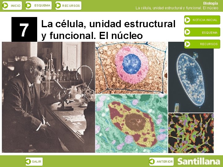 INICIO ESQUEMA RECURSOS Biología La célula, unidad estructural y funcional. El núcleo 7 NOTICIA