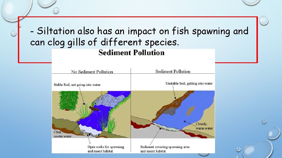 - Siltation also has an impact on fish spawning and can clog gills of